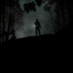 ☆┊ the hills have eyes