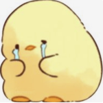 something duck group