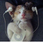 ECSKITTY