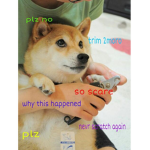Doge Wind Group Thumbnail