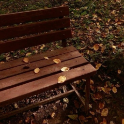 ˗ˏˋ ꒰ 🧣 ꒱ ˎˊ˗