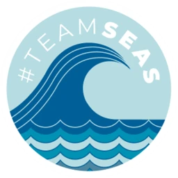 #TeamSeas  icon