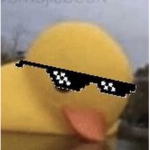 DankDuck Studios