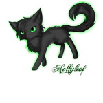 Hollyleaf fans and lovers