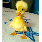 mathx..<3