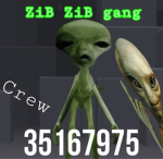 ZiB ZiB gang
