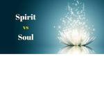 Spouls Development Co.