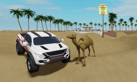 Find Camels in Sahara