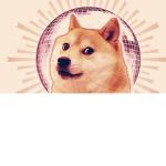 Disco Doge Club