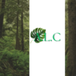A.L.C