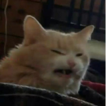 barabambim