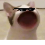 Nella’s rat infested,Mariah Carey Basement
