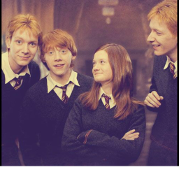 The Gingers