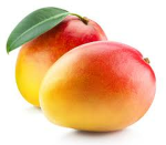 grupo mango