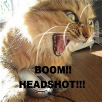 Game Kitty Roblox decal