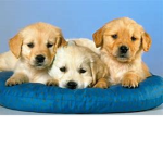 Dont Know What To Do Join This Group
