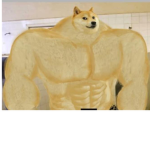 Buff dog group Buff Buff Buff doge