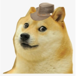 Doggo And Doge Clothing