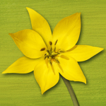 Springing Hotels