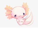 Axolotl fans group
