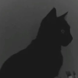 /ᐠ - ˕ -マ Ⳋ icon