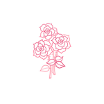 Charli’s Rose Squad!!!