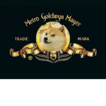 poop doge