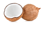 The Cocunuts
