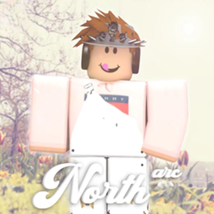North Arc Roblox group icon