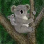 Koala Group
