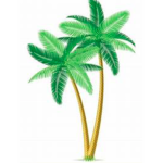 #TROPICALL GANGG