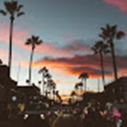 Aesthetic Vibes