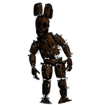 Unnamed Brown Jackrabbit