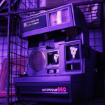 Purrple