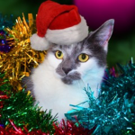 Bloxy Christmas!