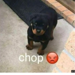 La Sociedad de Chop
