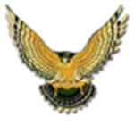 Golden Hawk Division
