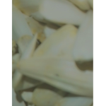 sonnen Blumen K e r n e
