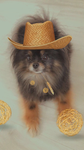 The king of the dog