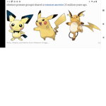 Evolution trainers
