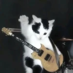 Ryneczek hejte Group Thumbnail