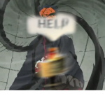 Shinobi Lid