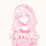 Team Burd