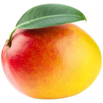Mango Developers