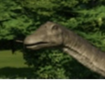 Diplodocus fan boys.