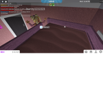 sunny roblox fan club