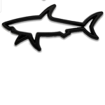 Sharks and Dolphins.