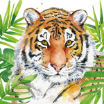 Tropical and TIGER squad!!!