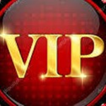 Da VIP group