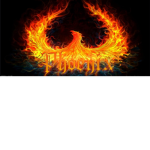The Firey Phoenix YT_Official Group